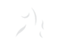 White Caple Logo Icon